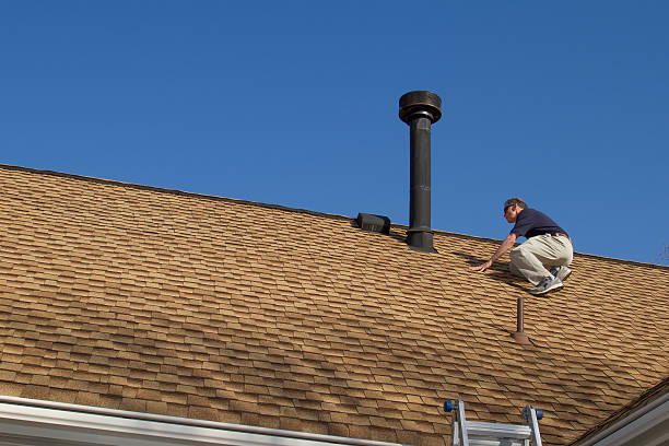 Best Roof Moss and Algae Removal  in Wescosville, PA